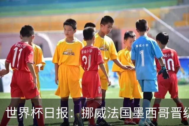 世界杯日报：挪威法国墨西哥晋级 巴西大将恐因伤退出