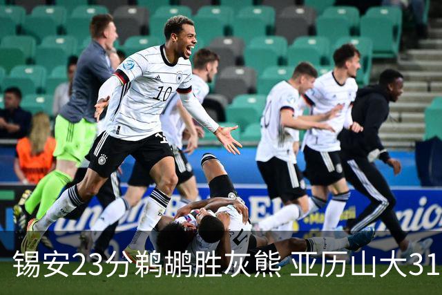 锡安23分鹈鹕胜灰熊 亚历山大31+10雷霆屠公牛