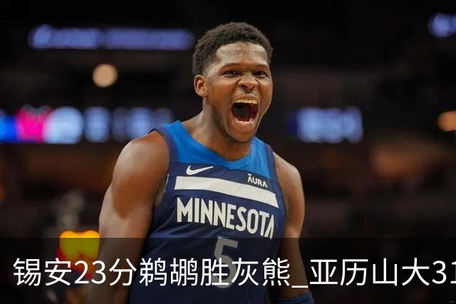 锡安23分鹈鹕胜灰熊 亚历山大31+10雷霆屠公牛